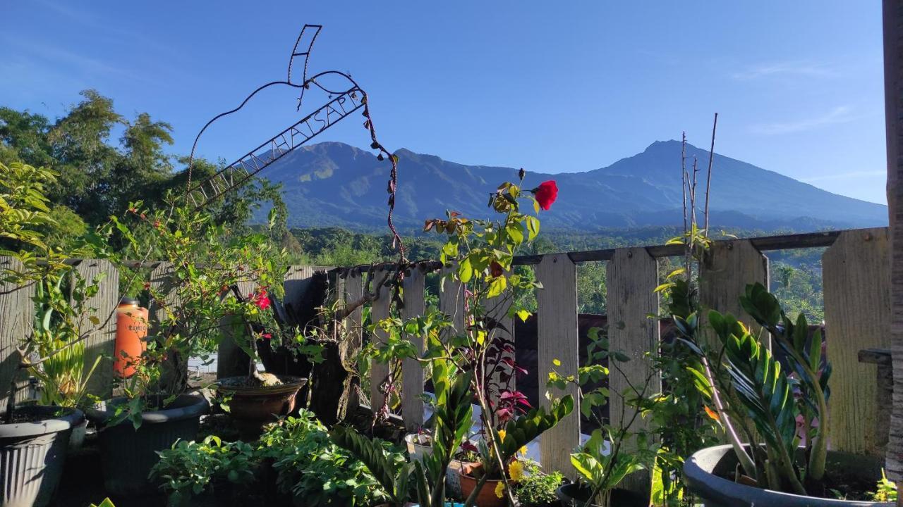 Tetebatu Terrace Homestay المظهر الخارجي الصورة