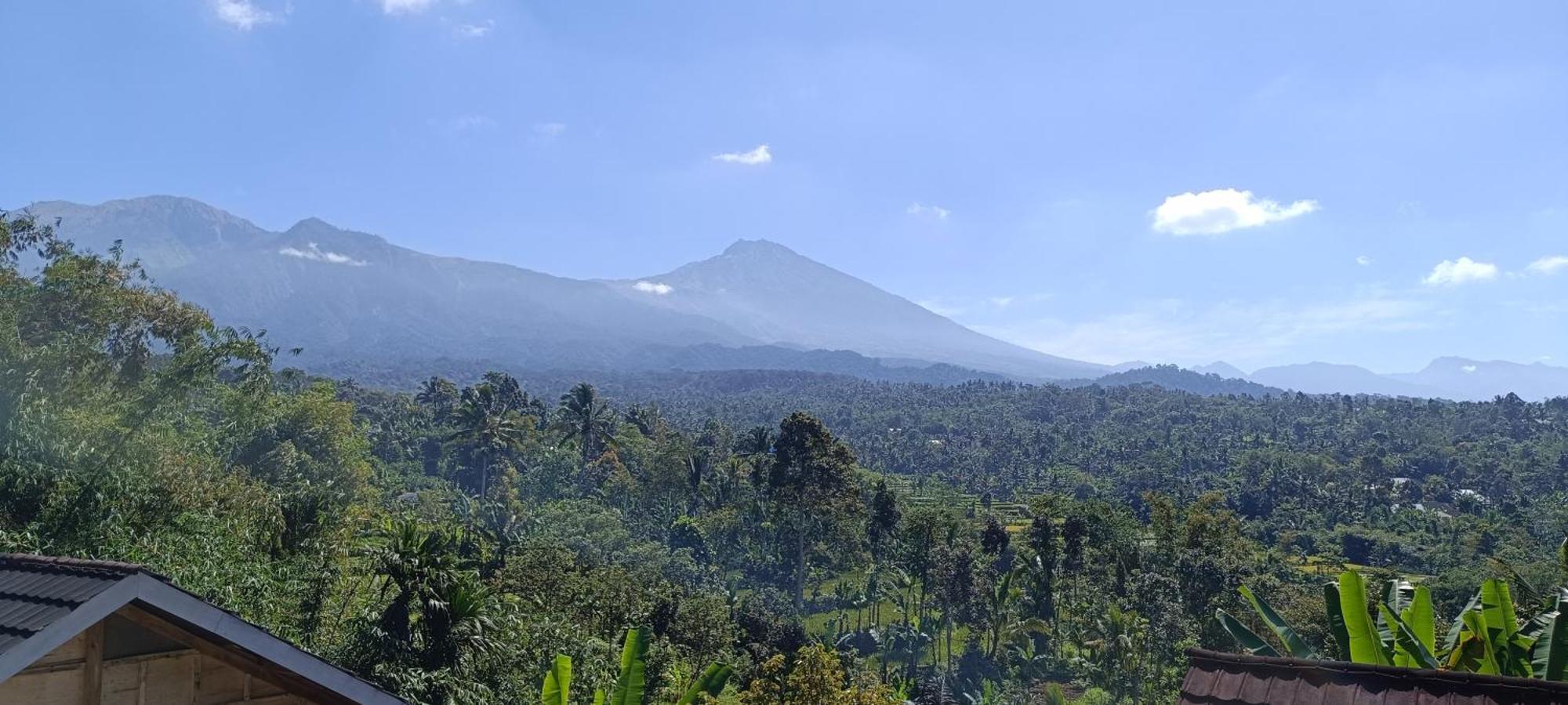 Tetebatu Terrace Homestay المظهر الخارجي الصورة