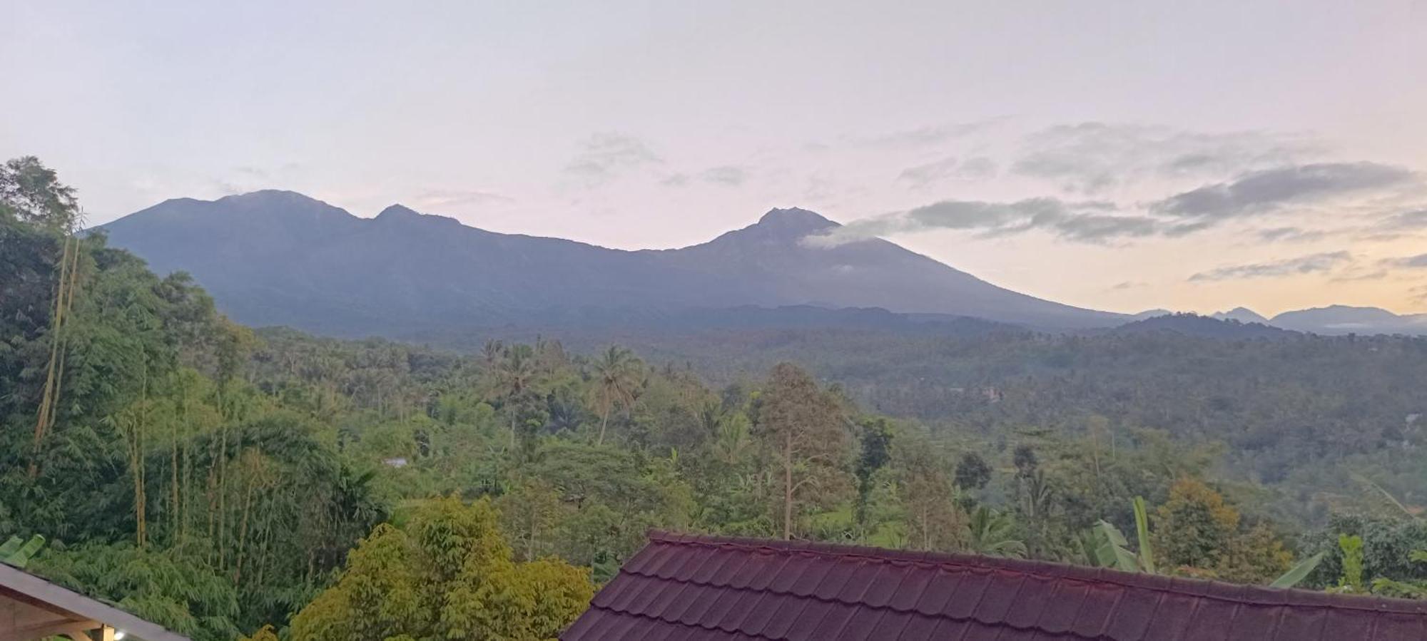 Tetebatu Terrace Homestay المظهر الخارجي الصورة