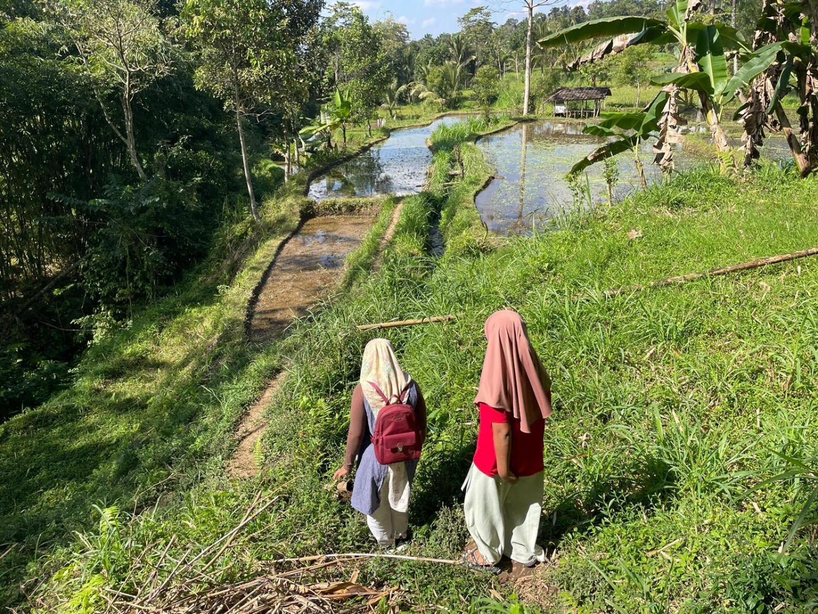Tetebatu Terrace Homestay المظهر الخارجي الصورة