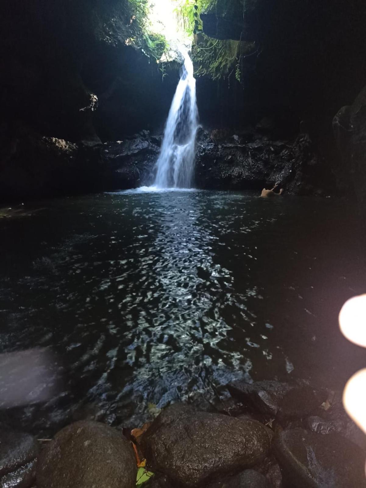 Tetebatu Terrace Homestay المظهر الخارجي الصورة