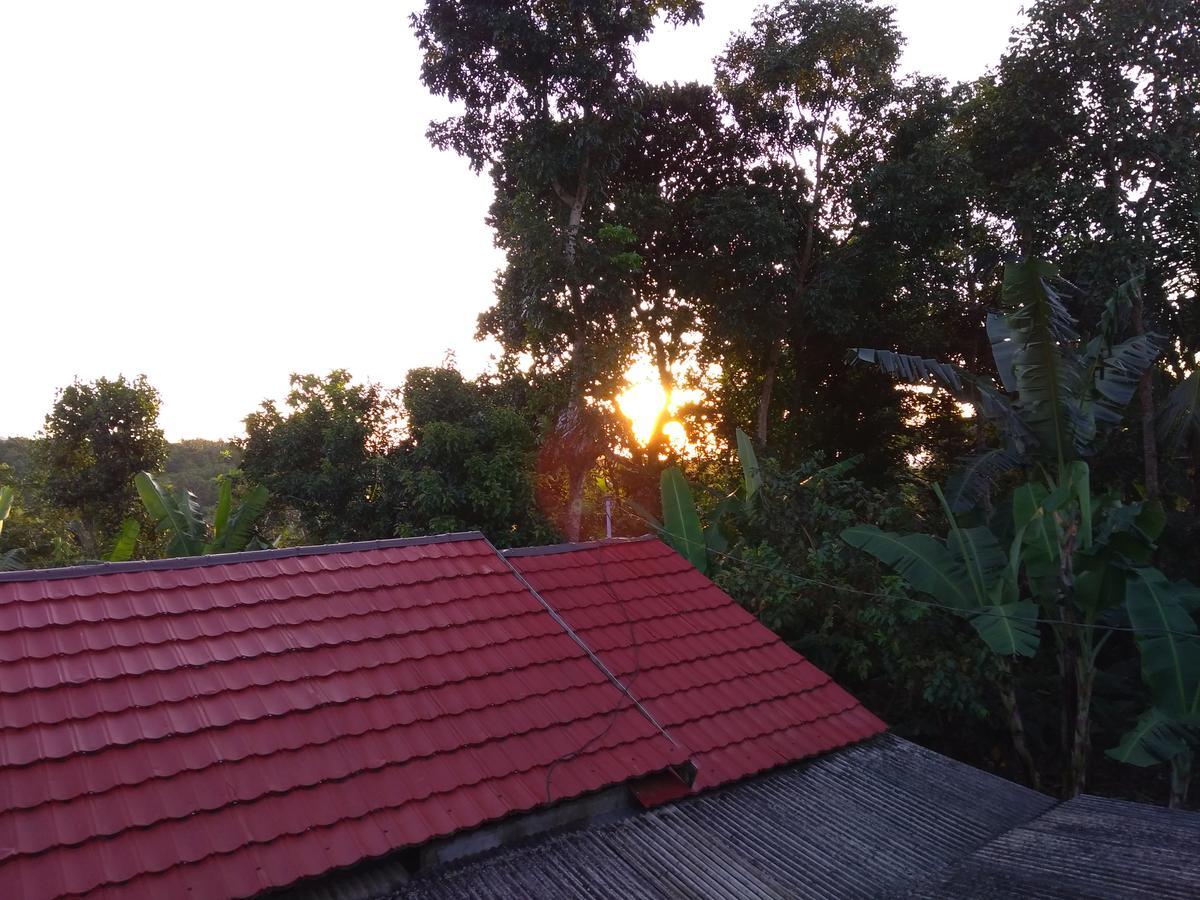 Tetebatu Terrace Homestay المظهر الخارجي الصورة