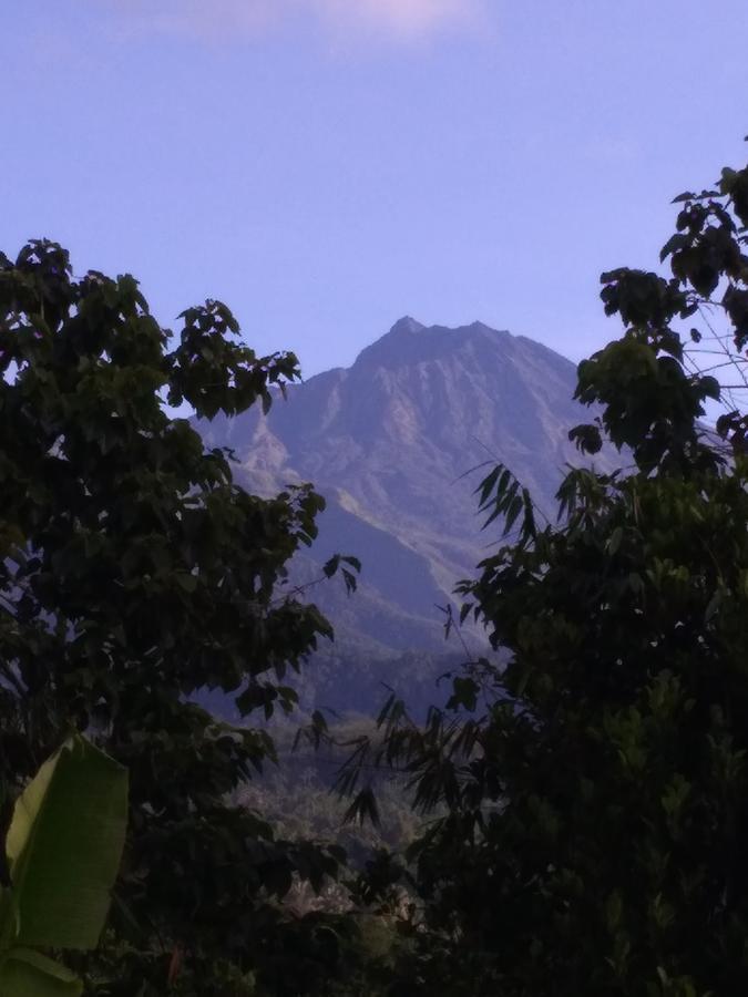 Tetebatu Terrace Homestay المظهر الخارجي الصورة